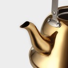 Чайник из нержавеющей стали «Голд», 2 л, 23×19×20 см, цвет золотой - Фото 4