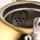 Чайник из нержавеющей стали «Голд», 2 л, 23×19×20 см, цвет золотой - фото 4261343