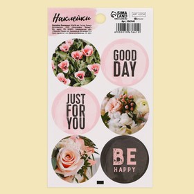 Наклейки для подарков и цветов, «Нежность», 9×16 см  (артикул 3967641)  большой выбор товаров оптом и в розницу по низким ценам с доставкой