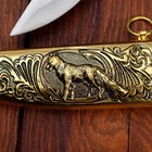 Сувенирный нож, рукоять под золото, расписная объемная, на ножнах пес, 5х30 см - Фото 7