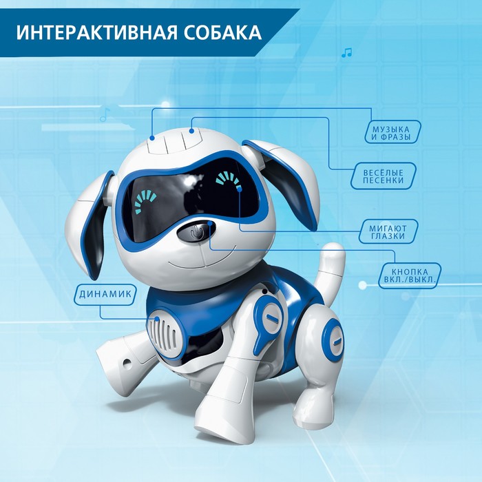 Робот собака «Чаппи» IQ BOT, интерактивный: сенсорный, свет, звук, музыкальный, танцующий, на аккумуляторе, на русском языке, синий - фото 1883412395