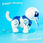Робот собака «Чаппи» IQ BOT, интерактивный: сенсорный, свет, звук, музыкальный, танцующий, на аккумуляторе, на русском языке, синий - фото 8891234