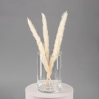 Ваза «Армандс-2», цилиндр, 10×15 см, стекло, прозрачная - Фото 2