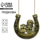 Подкова домовой «Счастливый оберег», 7×7 см - Фото 1