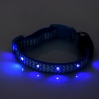 Ошейник со светодиодной подсветкой, 40-45×2 см, голубой - фото 53786316