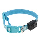 Ошейник со светодиодной подсветкой, 40-45×2 см, голубой - фото 53786317