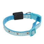 Ошейник со светодиодной подсветкой, 40-45×2 см, голубой - фото 53786318