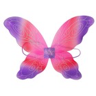 Карнавальные крылья «Взлёт» - Фото 1