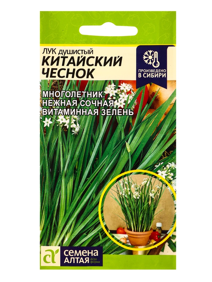 Семена Лук душистый «Китайский чеснок», 0.3 г, «Семена Алтая» - Фото 1