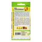 Семена Тыква "Голосемянная", цп, 5 шт - Фото 2