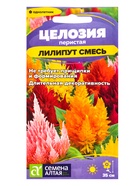 Семена цветов Целозия перистая «Лилипут», смесь,, 0.05 г- 0.1 г, «Семена Алтая» - Фото 1