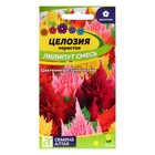 Семена цветов Целозия перистая «Лилипут», смесь,, 0.05 г- 0.1 г, «Семена Алтая» - Фото 3