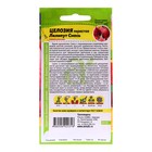 Семена цветов Целозия перистая «Лилипут», смесь,, 0.05 г- 0.1 г, «Семена Алтая» - Фото 4