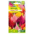 Семена цветов Целозия перистая «Лилипут», смесь,, 0.05 г- 0.1 г, «Семена Алтая» - Фото 5