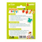 Развивающая игра «Найди пару!», по методике Монтессори, 10 прищепок, 20 картинок, шнурок, 3+ - Фото 10