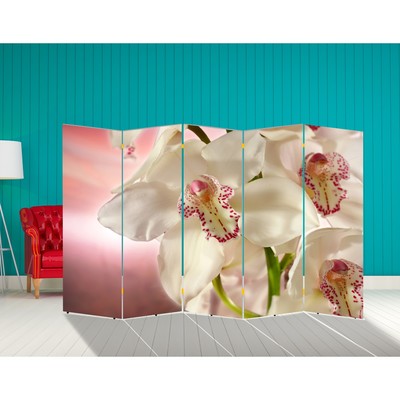 Ширма "Орхидея. Айвори", 250 х 160 см