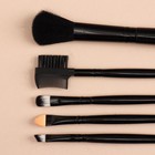 Набор кистей для макияжа, 5 предметов, цвет чёрный - Фото 4