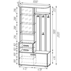 Шкаф с вешалкой «Домино», 1000×360×2020 мм, цвет бодега тёмный / светлый - Фото 5