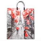 Пакет "Париж", полиэтиленовый с пластиковой ручкой, 100 мкм 44 х 40 см - Фото 1