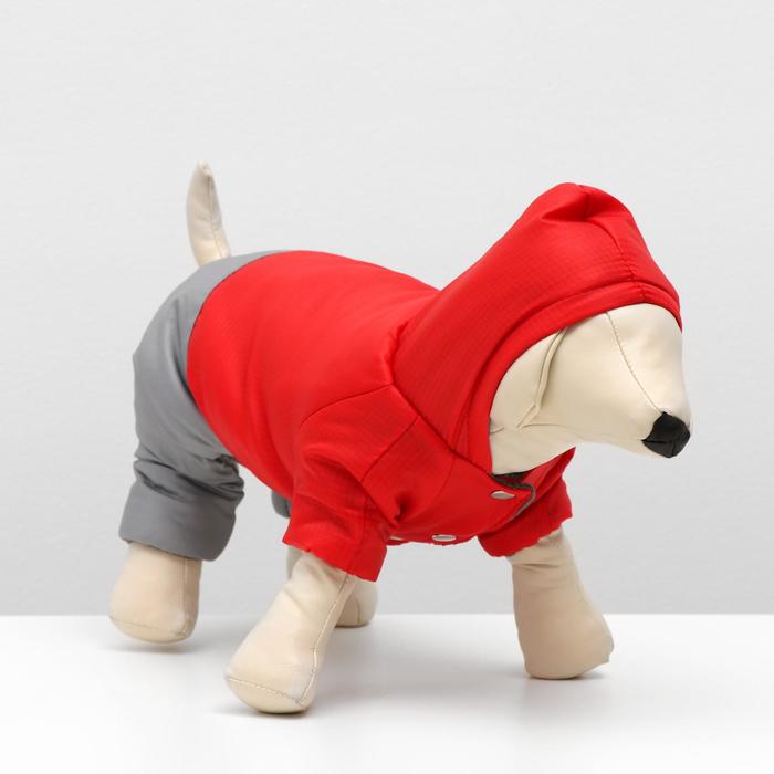 Комбинезон зимний для животных "Дуэт", 2XL (ДС 34-36, ОШ 34-36, ОГ 44-48 см), красно-серый - Фото 1