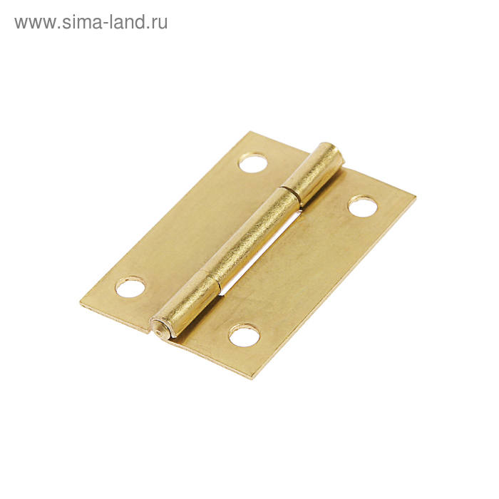 Петля железная, 48×33×1 мм, латунь - Фото 1