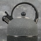 Чайник со свистком Доляна «Орион», 1,8 л, фиксированная ручка, цвет серый - фото 8760861