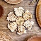 Подставка под горячее «Ёжики», d=11 см, можжевельник - Фото 1