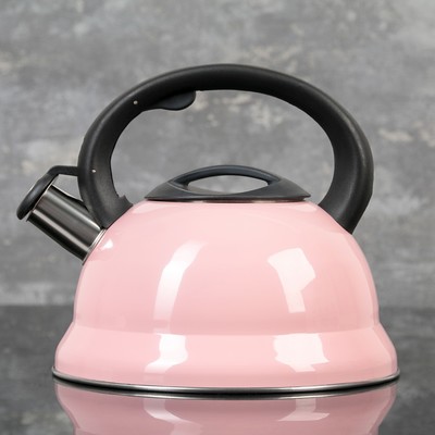 Чайник из нержавеющей стали со свистком Доляна «Рио», 2,8 л, фиксированная ручка, цвет розовый