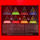 Чай подарочный новогодний Svay. Berry Variety, ягоды и травы, 48 пирамидок - Фото 6