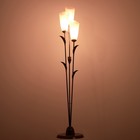 Торшер напольный BayerLux «Симпл», 3×15 Вт, E27, коричневый, 28×28×153 см - Фото 3