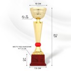 Кубок 174В, наградная фигура, золото, подставка пластик, 29,3 х 10 х 7 см. - фото 320007040