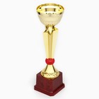 Кубок 174С, наградная фигура, золото, подставка пластик, 26.5×8×7 см - Фото 4