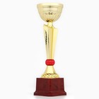 Кубок 174С, наградная фигура, золото, подставка пластик, 26.5×8×7 см - Фото 3