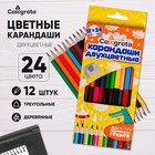 Карандаши двусторонние, заточенные, 12 штук, 24 цвета, корпус треугольный, деревянный, в картонной коробке 3883843 - фото 3615938