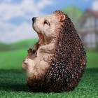 Садовая фигура "Еж веселый" 20см - Фото 2