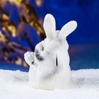 Копилка "Кролик веселый" 25х17см - Фото 3