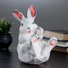 Копилка "Кролик веселый" 25х17см - Фото 4