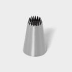 Насадка кондитерская «Французская звезда», d=2,5 см, выход 0,9 см, нержавеющая сталь - Фото 1