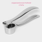 Пресс для чеснока Доляна «Эрнест», 15 см, серебристый - Фото 2