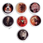 Йо-Йо «Животные», световой, МИКС, в шоубоксе - Фото 2