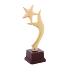 Наградная фигура «Звезда и пламя», золото, 22,5 х 8,5 см - фото 298123656