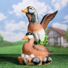 Садовая фигура "Утка с селезнем" 35см - фото 804097543