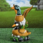 Садовая фигура из полистоуна «Утка с селезнем», 35 см - Фото 12