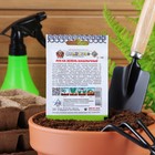 Семена Лук на зелень "Шашлычный" серия Кольчуга, 1 г - Фото 4