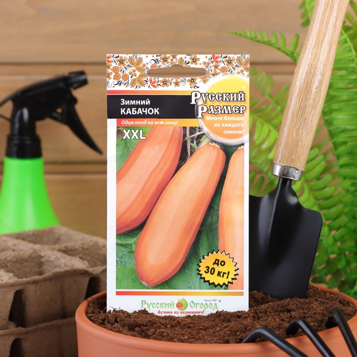 Семена Кабачок "Зимний", 5 шт. - Фото 1