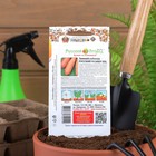 Семена Кабачок "Зимний", 5 шт. - Фото 2