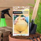 Семена Лук репчатый серия "Русский размер", 100 шт. - Фото 3