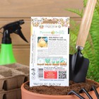 Семена Лук репчатый серия "Русский размер", 100 шт. - Фото 4