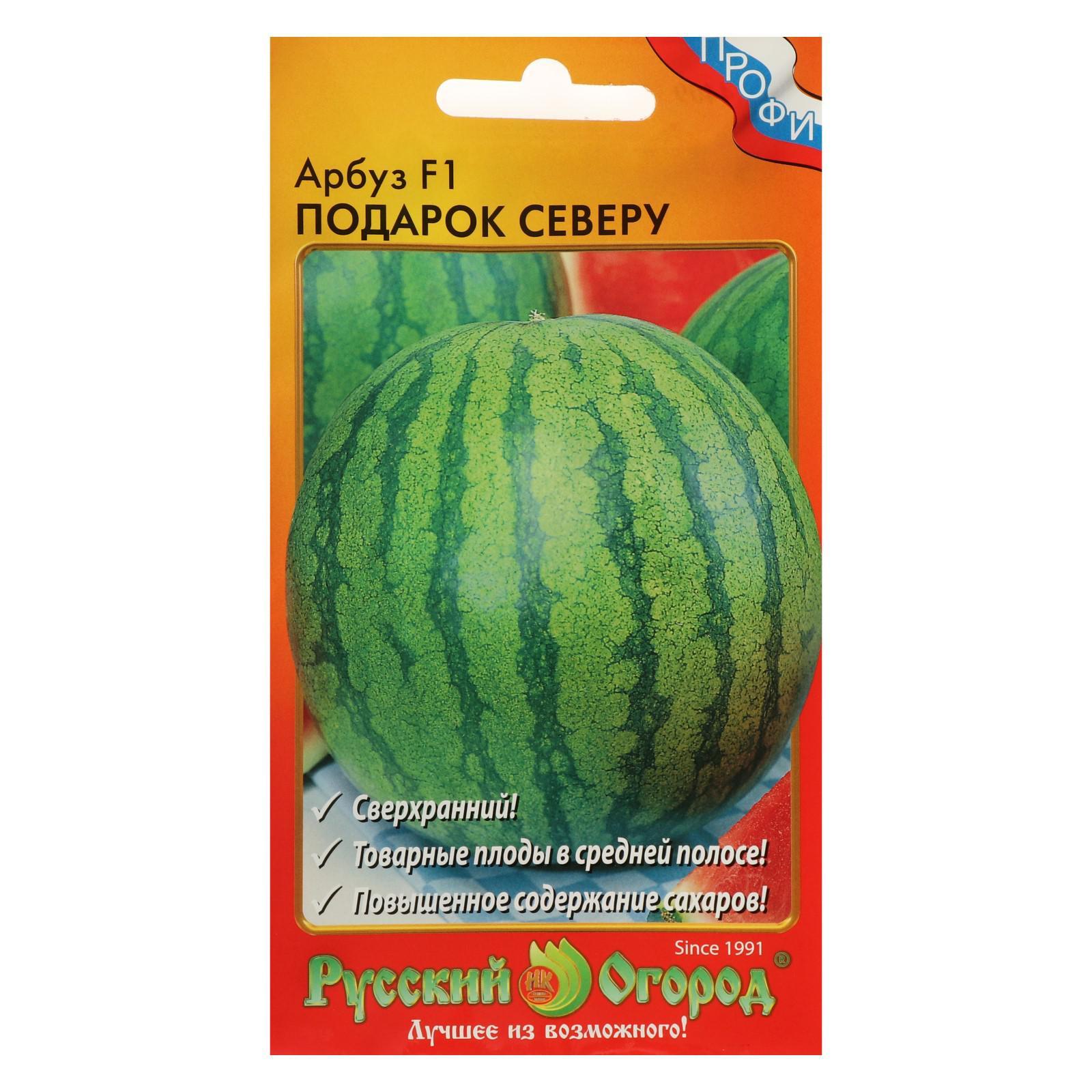 Арбуз Подарок солнца 5шт семян Русский Огород 120714859 купить за 273 ₽ в интерн