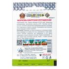 Семена Морковь "Нантская улучшенная" серия Кольчуга, 2 г - Фото 2